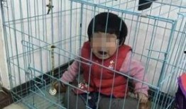 网友爆料摆拍视频,摆拍视频背后的真相